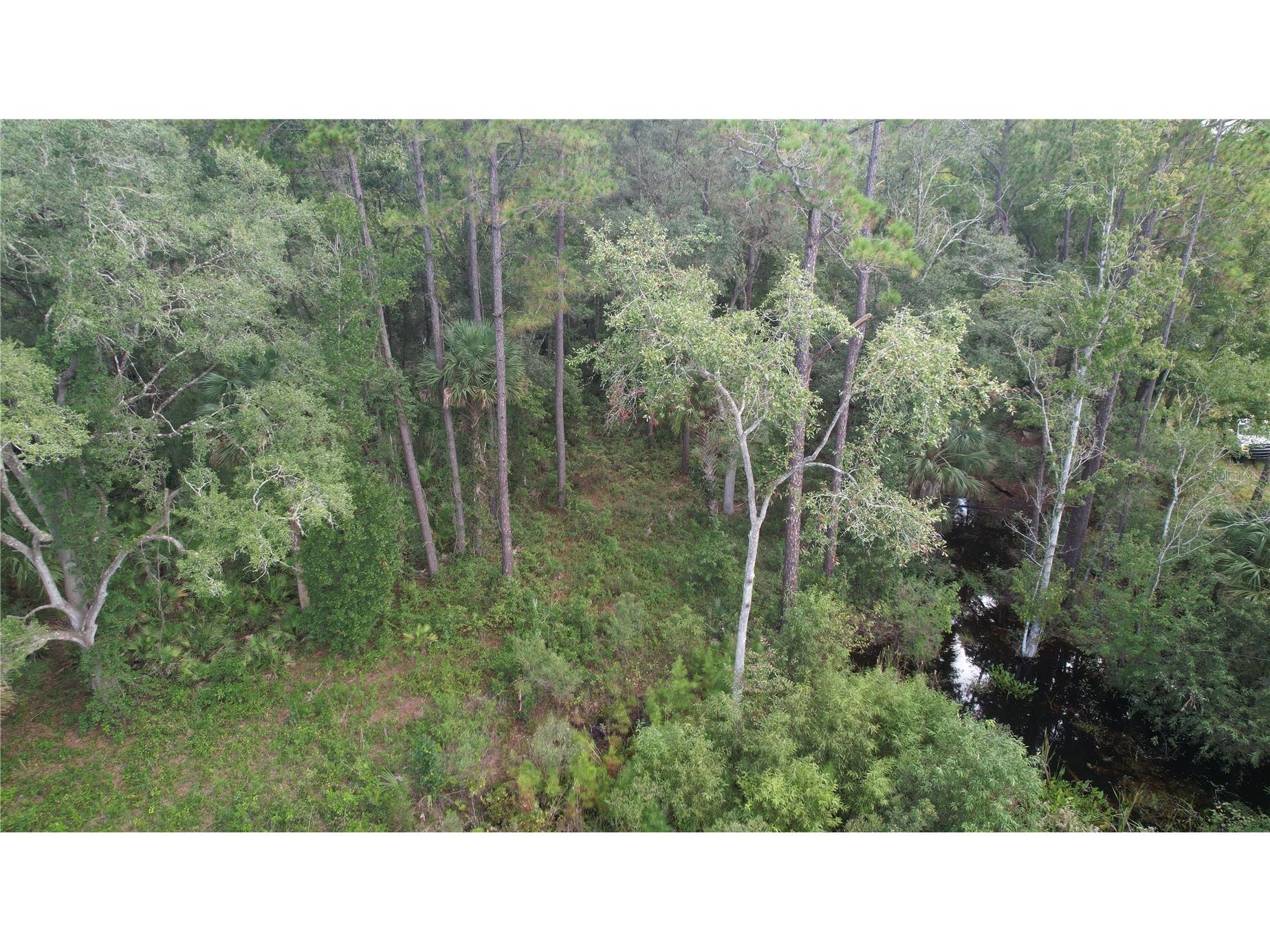 00 E Highway 316 Fort Mc Coy FL 32134 OM710948 image18