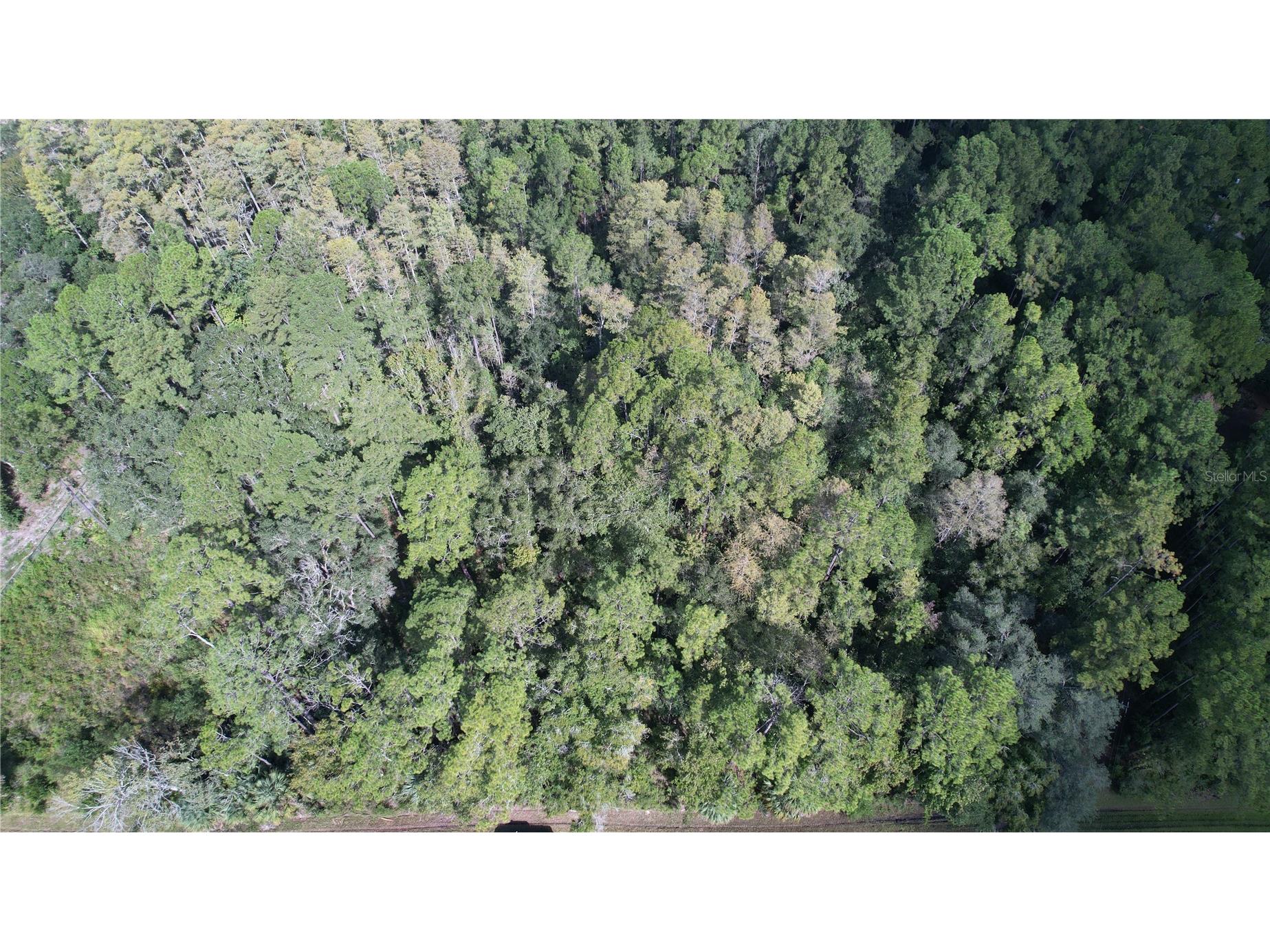 00 E Highway 316 Fort Mc Coy FL 32134 OM710948 image9