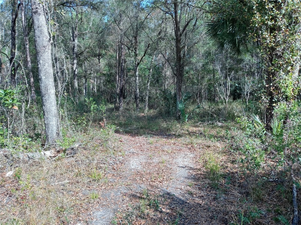 00 E Hwy 316 Fort Mc Coy FL 32134 OM654349 image2