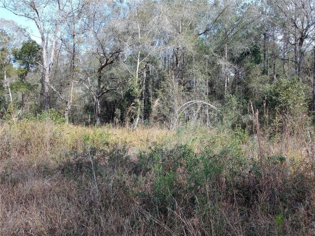 00 E Hwy 316 Fort Mc Coy FL 32134 OM654349 image3