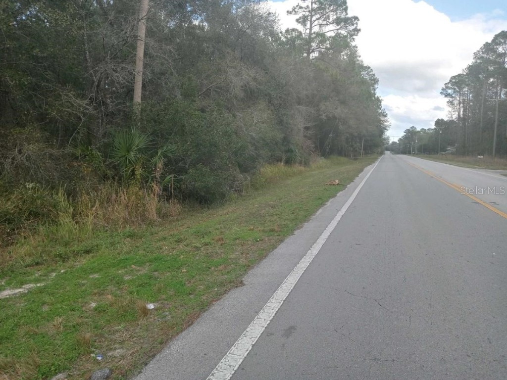 00 E Hwy 316 Fort Mc Coy FL 32134 OM654349 image6