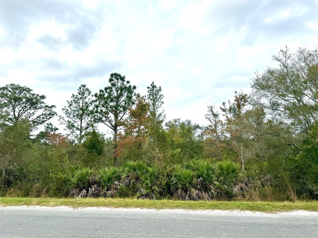 00 Edgerton Avenue Orlando FL 32833 O6164285 image1