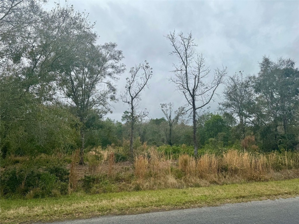 00 Edgerton Avenue Orlando FL 32833 O6170368 image1