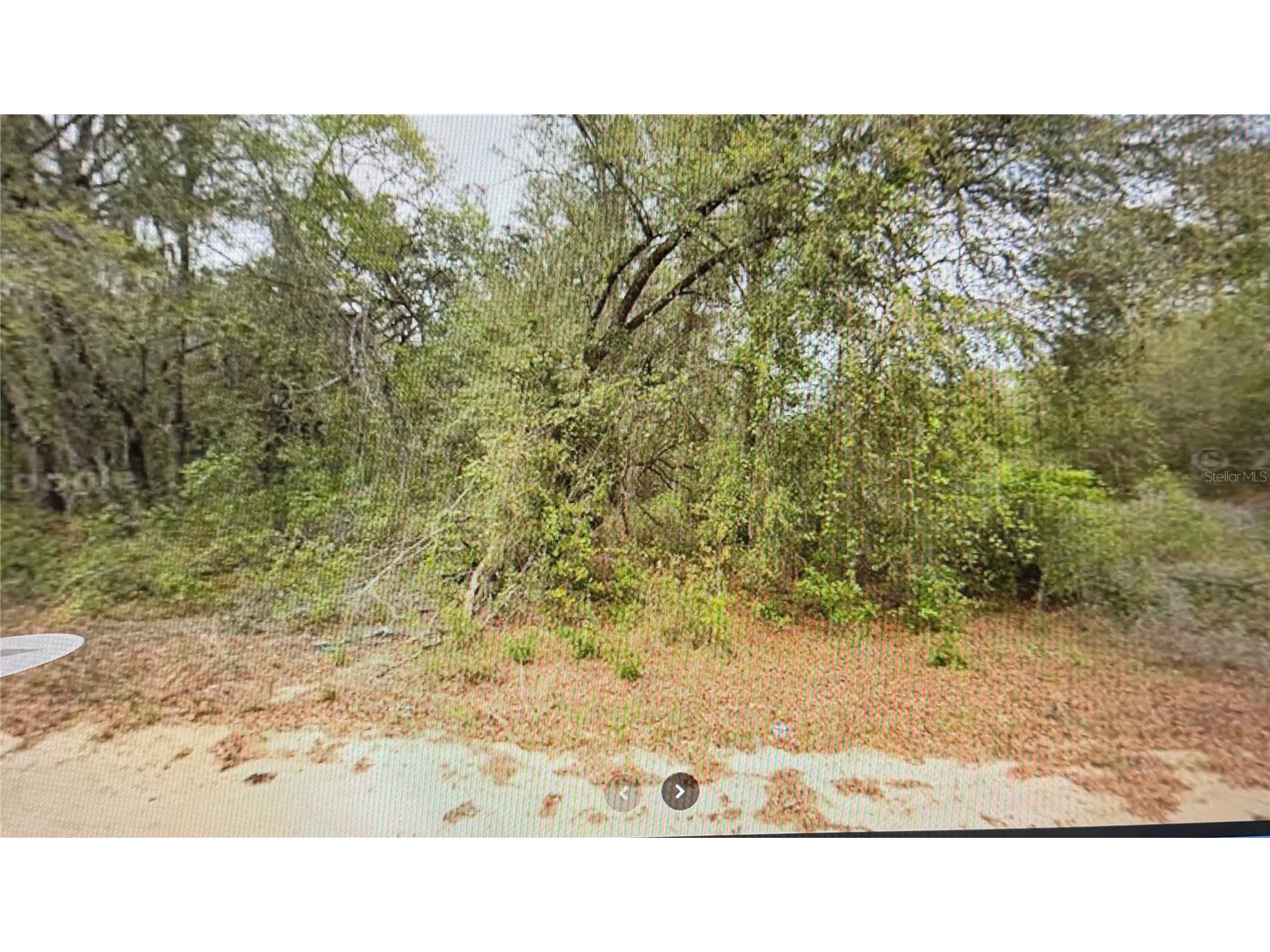 00 Elizabeth Ci Interlachen FL 32148 O6408627 image1