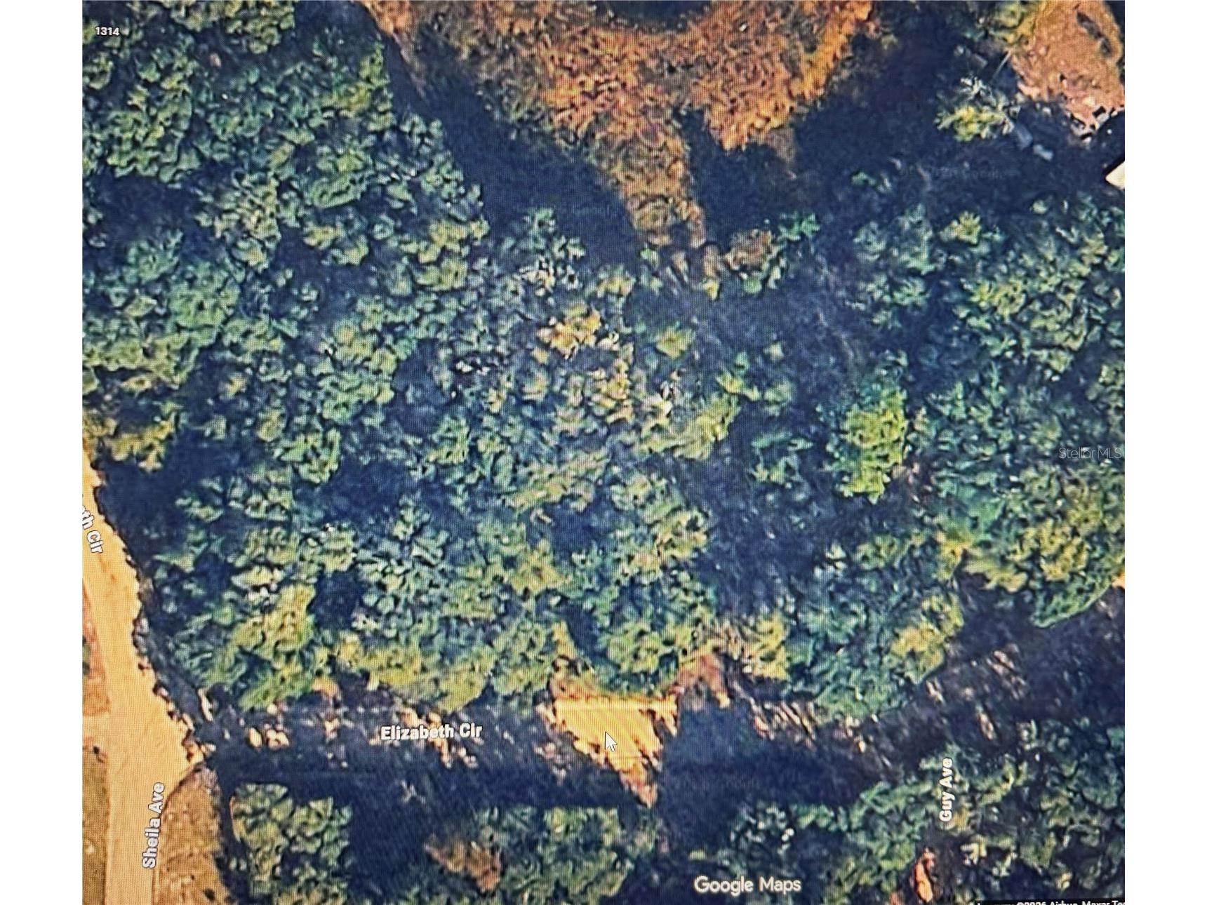00 Elizabeth Ci Interlachen FL 32148 O6408627 image2