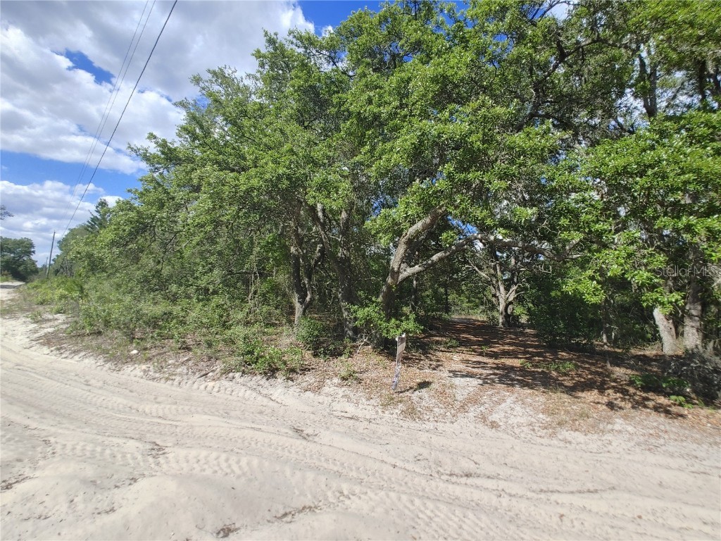 00 Elliott Lane Hudson FL 34667 W7833827 image1