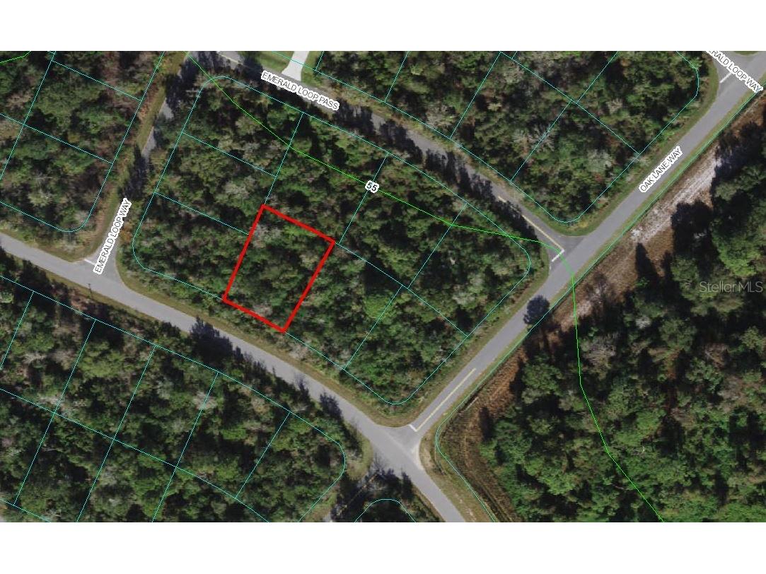 00 Emerald Road Ocala FL 34472 G5049593 image1