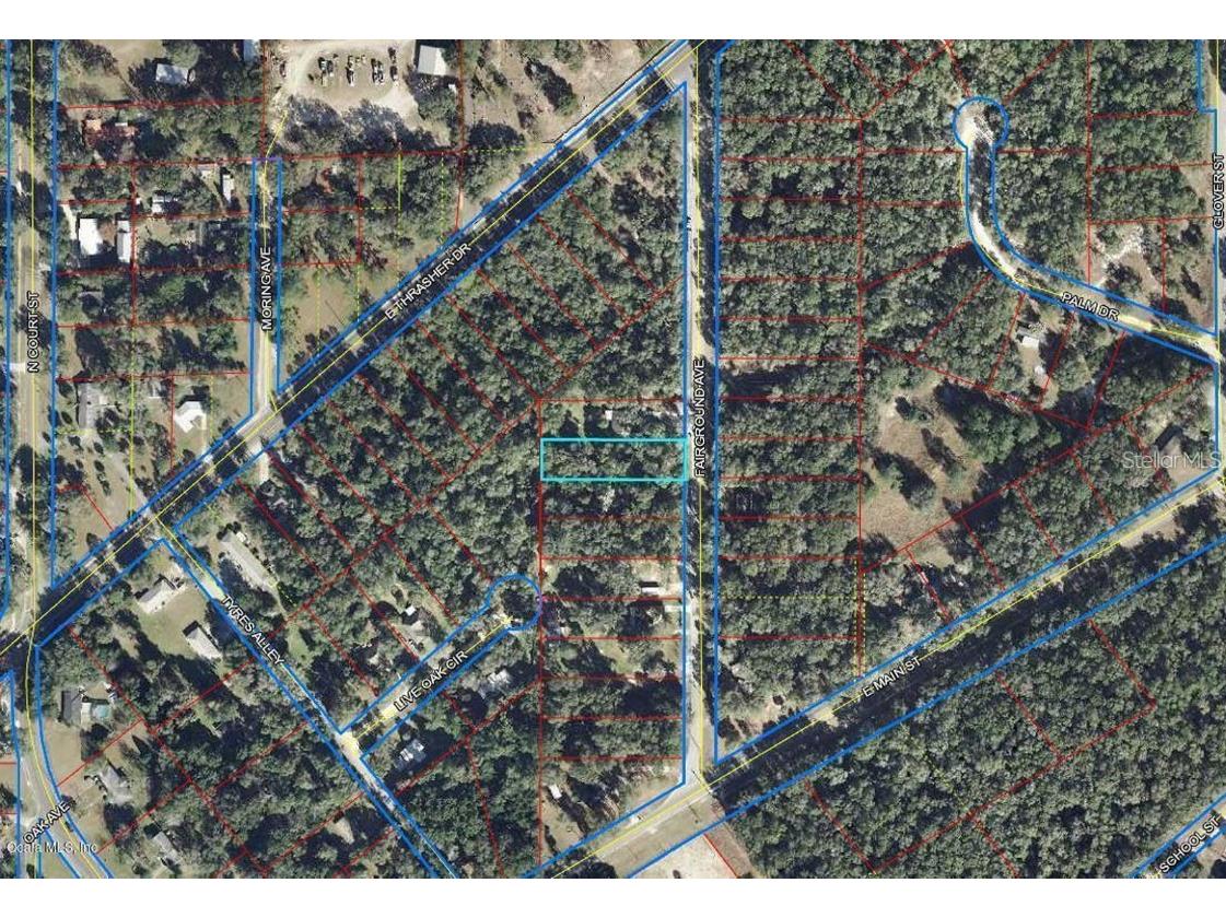 00 Fairground Avenue Bronson FL 32621 OM638377 image1