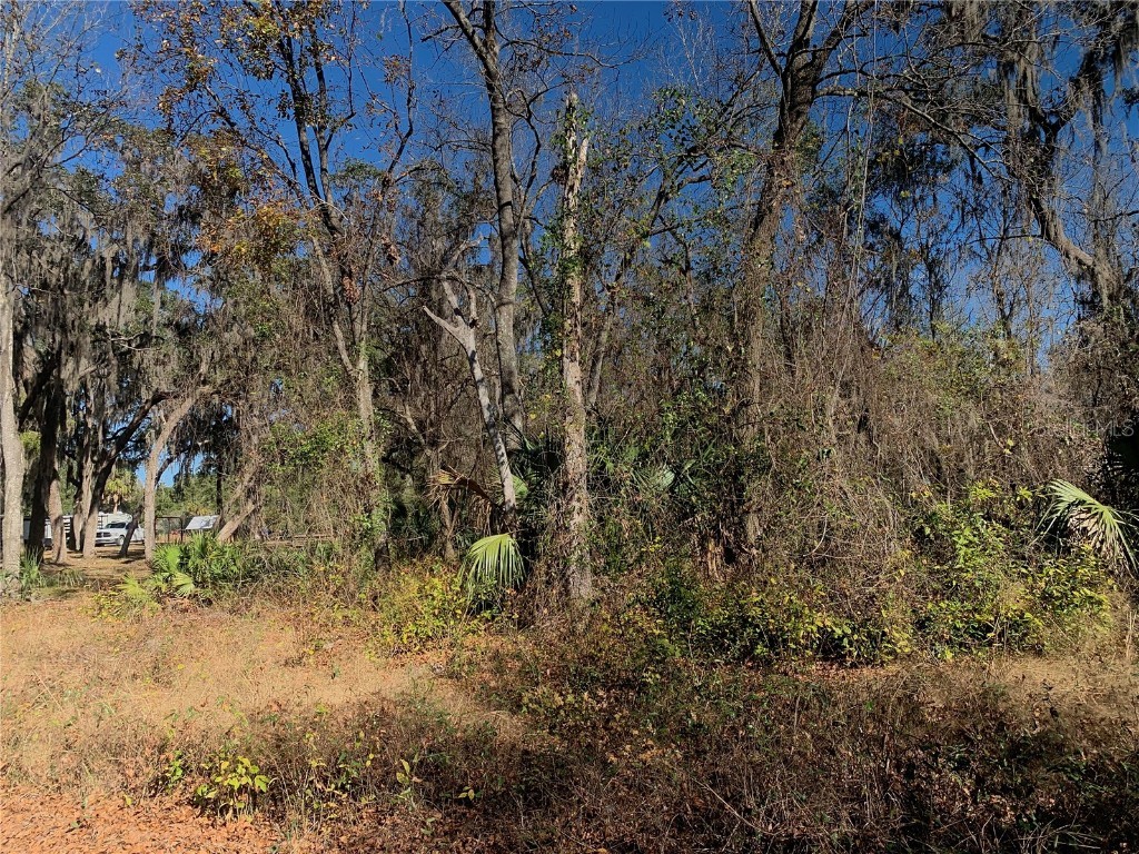 00 Faye Street Hawthorne FL 32640 GC527325 image1