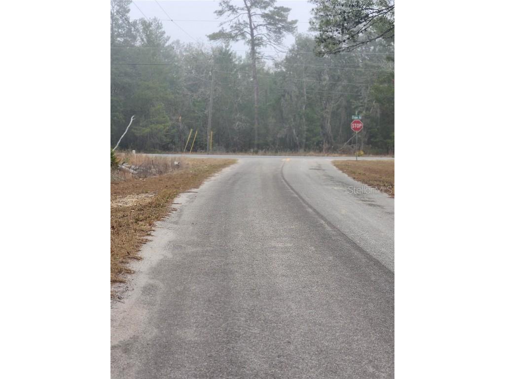 00 Fischer Trail Terrace Ocklawaha FL 32179 OM695168 image1