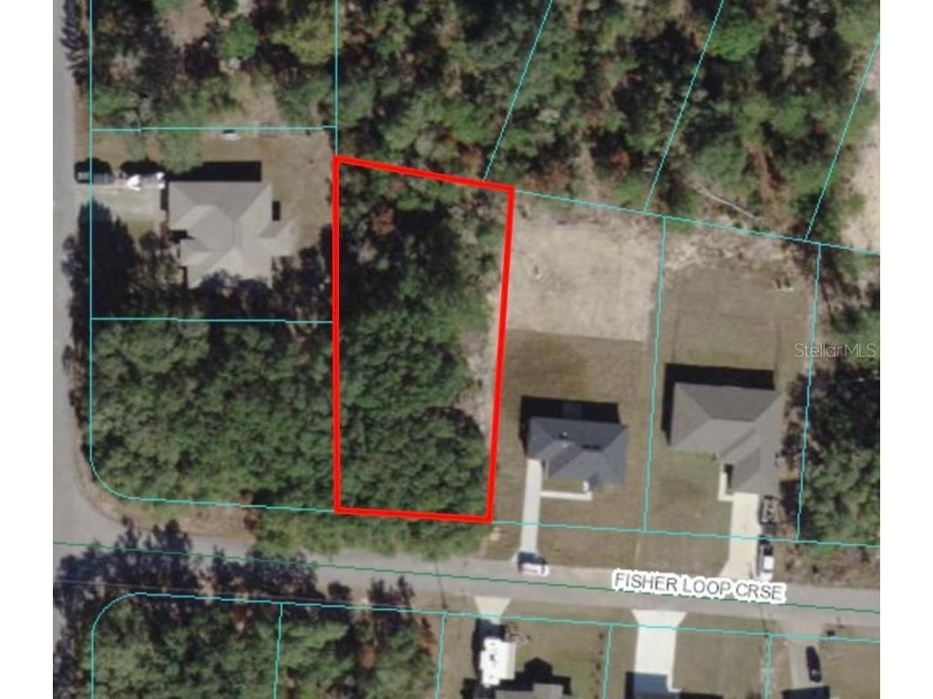 00 Fisher Loop Course Ocklawaha FL 32179 OM671123 image1
