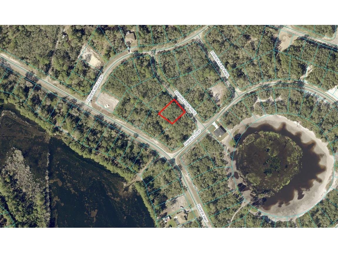 00 Fisher Loop Trace Ocklawaha FL 32179 OM691447 image1
