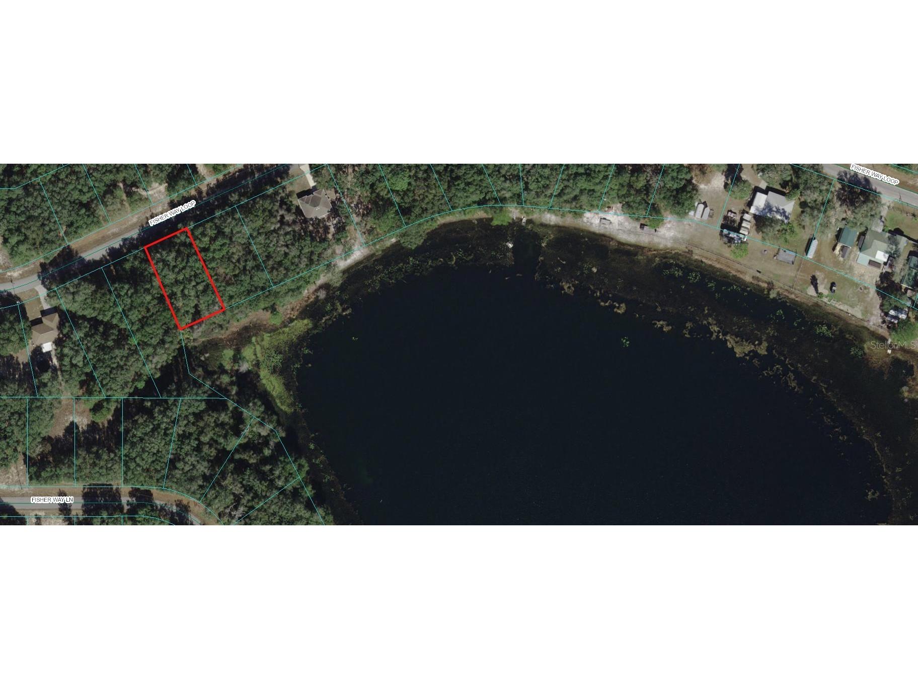 00 Fisher Loop Way Ocklawaha FL 32179 - LIVE OAK LAKE OM677368 image1