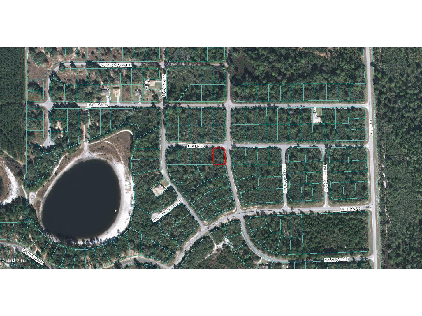 00 Fisher Place Ocklawaha FL 32179 OM522972 image1