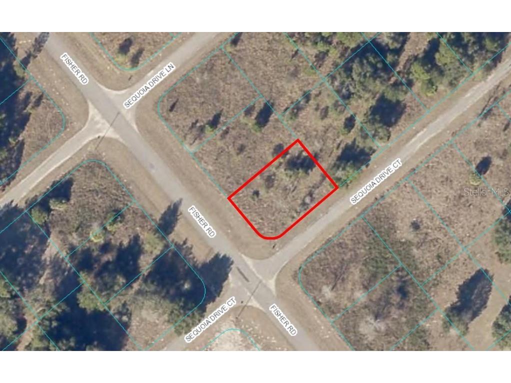 00 Fisher Road Ocklawaha FL 32179 OM653039 image1