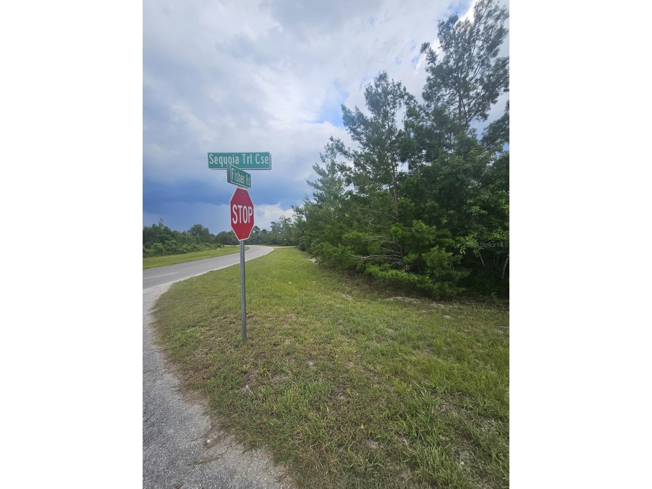 Lot 1 Fisher Road Ocklawaha FL 32179 OM726785 image1
