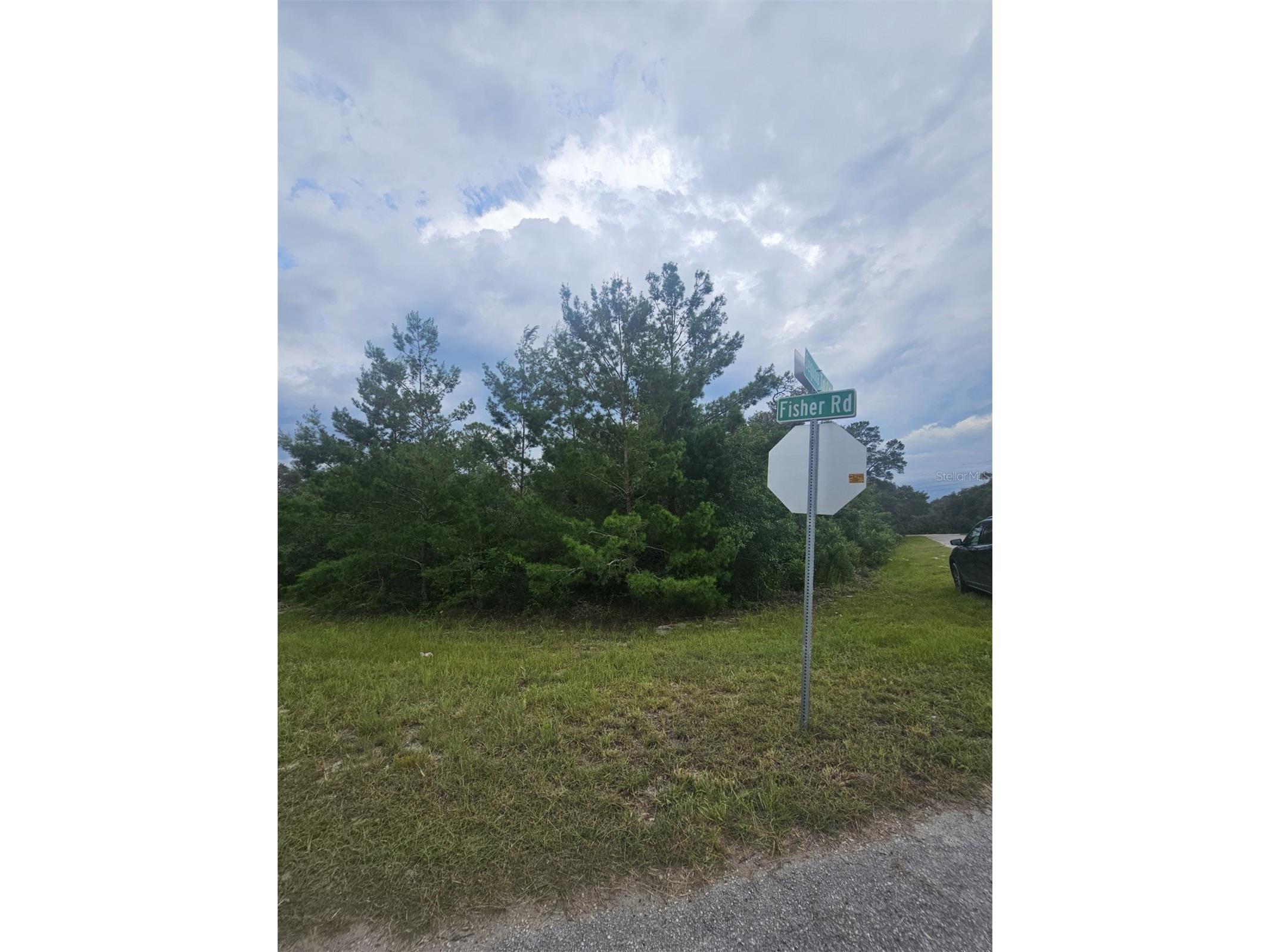 Lot 1 Fisher Road Ocklawaha FL 32179 OM726785 image2