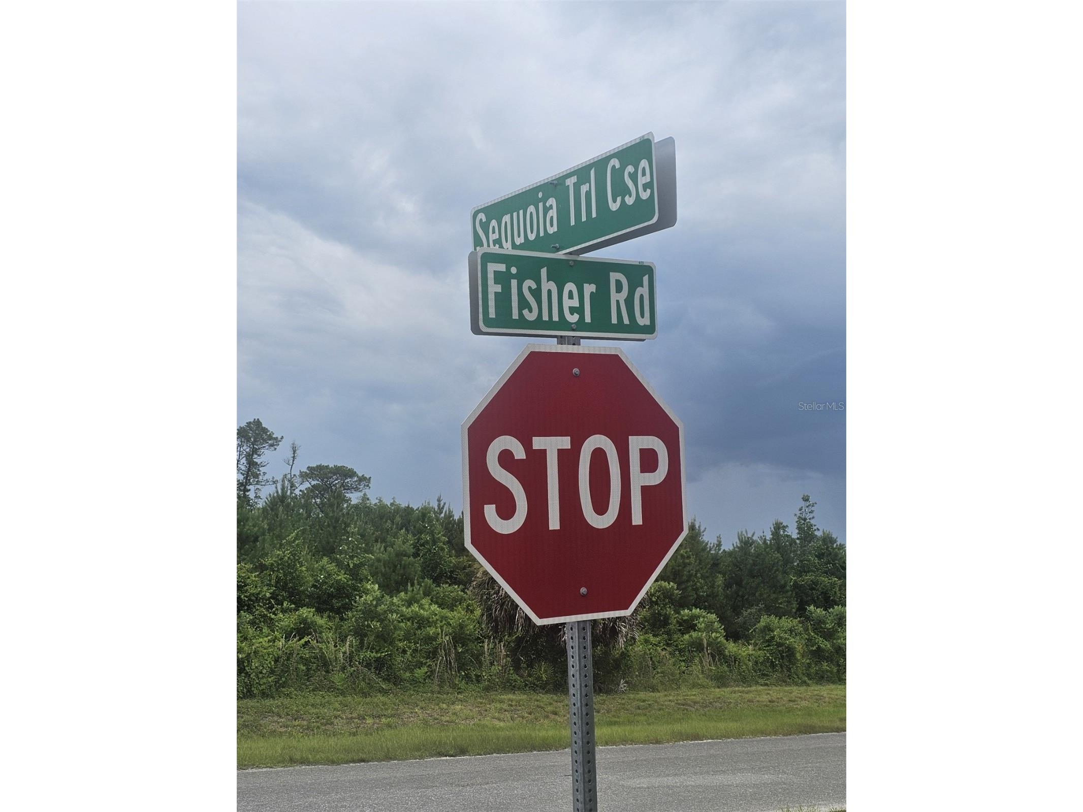 Lot 1 Fisher Road Ocklawaha FL 32179 OM726785 image3