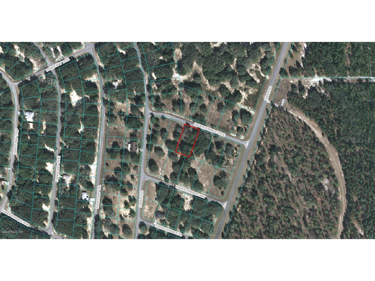 00 Fisher Terrace Trace Ocklawaha FL 32179 OM522975 image1