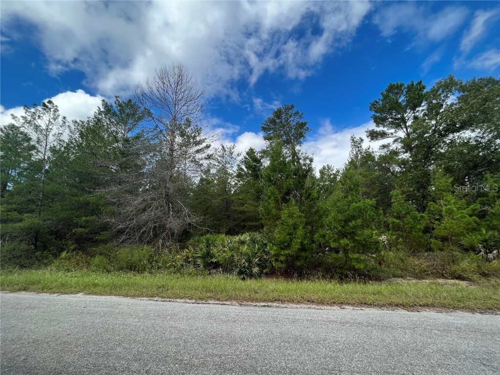 00 Fisher Trail Ocklawaha FL 32179 OM665129 image1