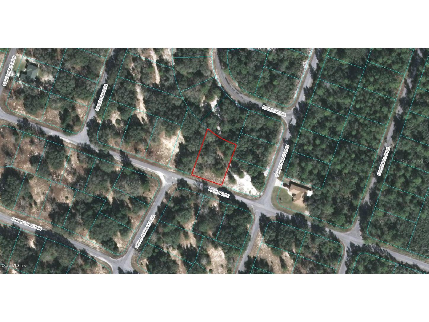 00 Fisher Trce Ocklawaha FL 32179 OM523128 image1