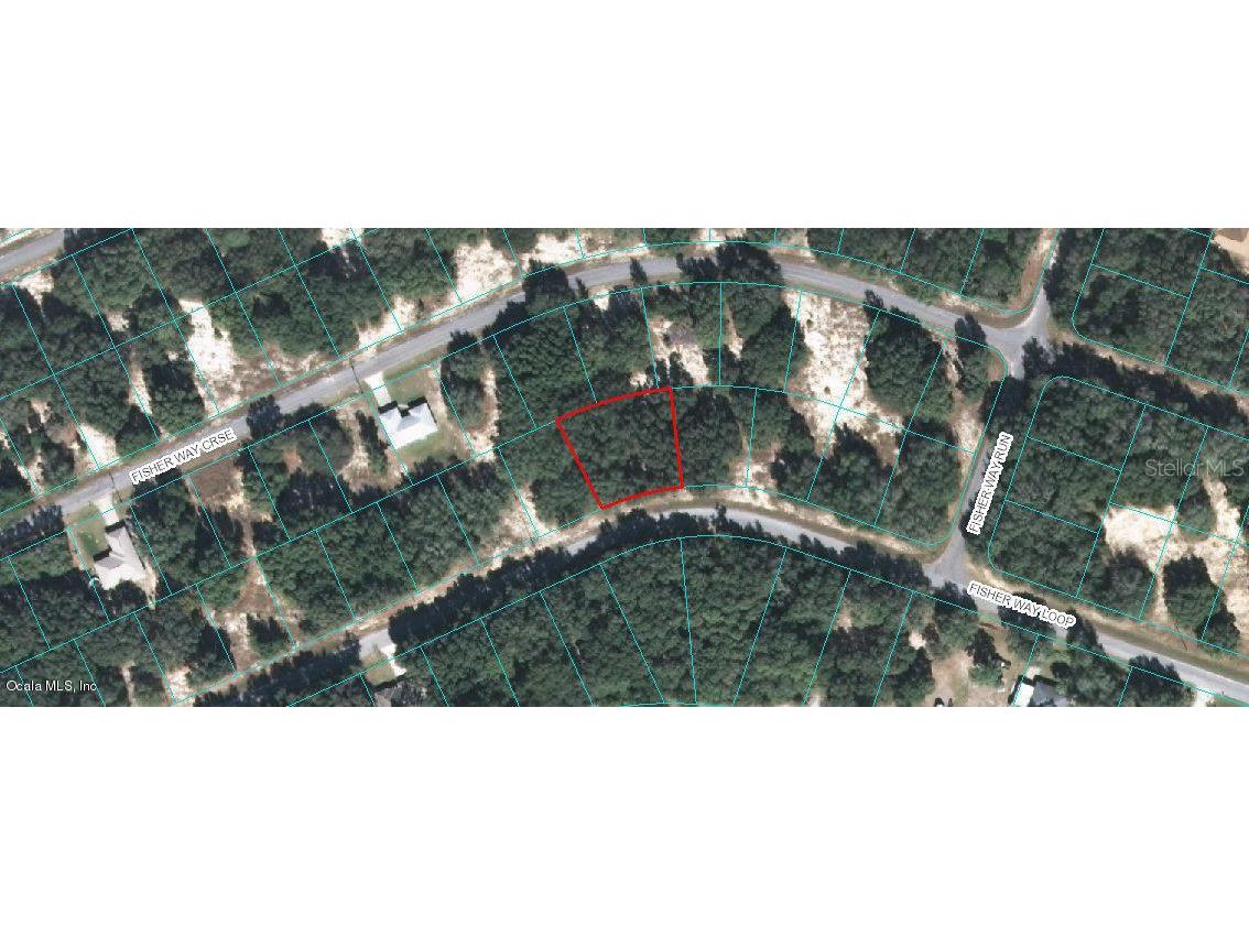 00 Fisher Way Loop Ocklawaha FL 32179 OM523387 image1