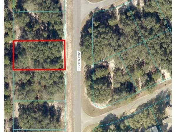 00 Fisher Way Ocklawaha FL 32179 OM656991 image1