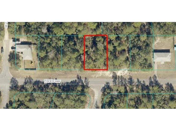00 Fisher Way Ocklawaha FL 32179 OM657919 image1