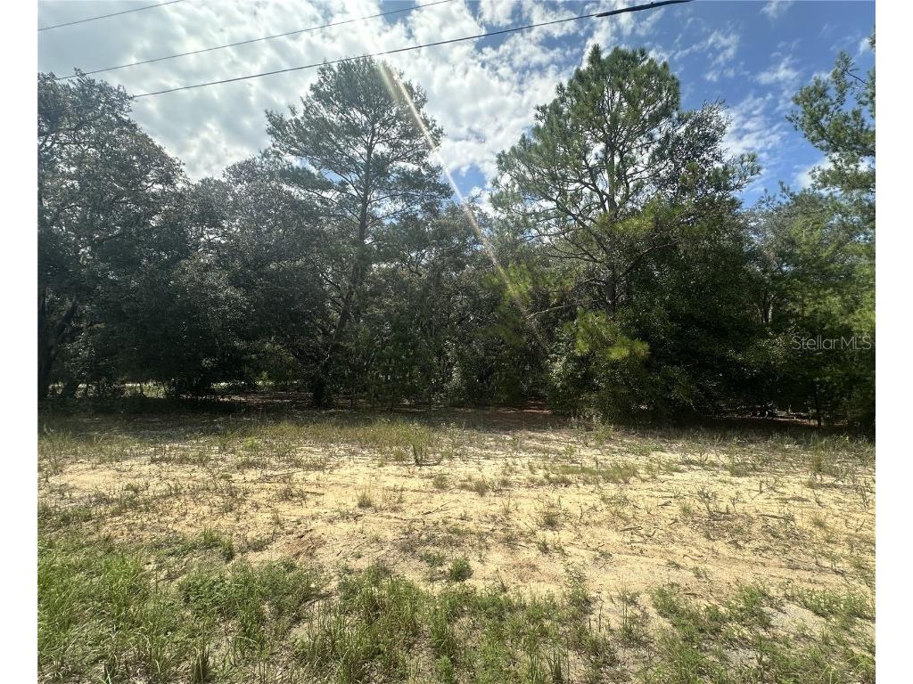 00 Fisher Way Trail Ocklawaha FL 32179 G5087116 image1