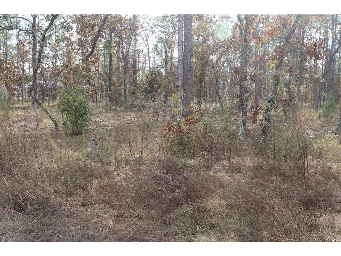 00 Geranium Avenue Dunnellon FL 34431 OM714099 image1