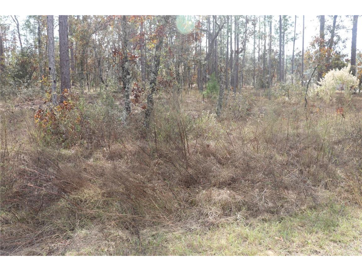 00 Geranium Avenue Dunnellon FL 34431 OM714099 image2