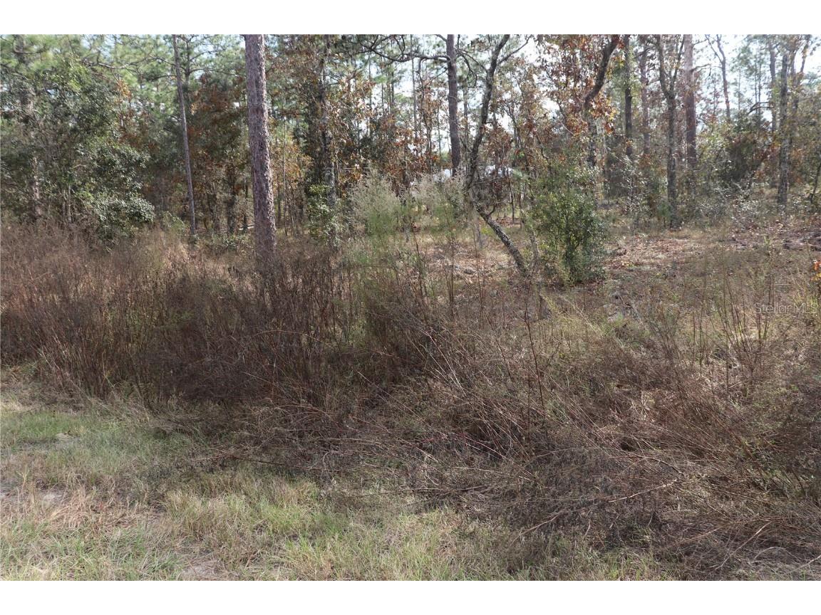 00 Geranium Avenue Dunnellon FL 34431 OM714099 image3