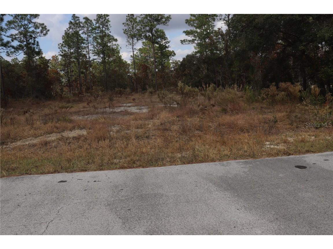 00 Geranium Avenue Dunnellon FL 34431 OM714099 image5