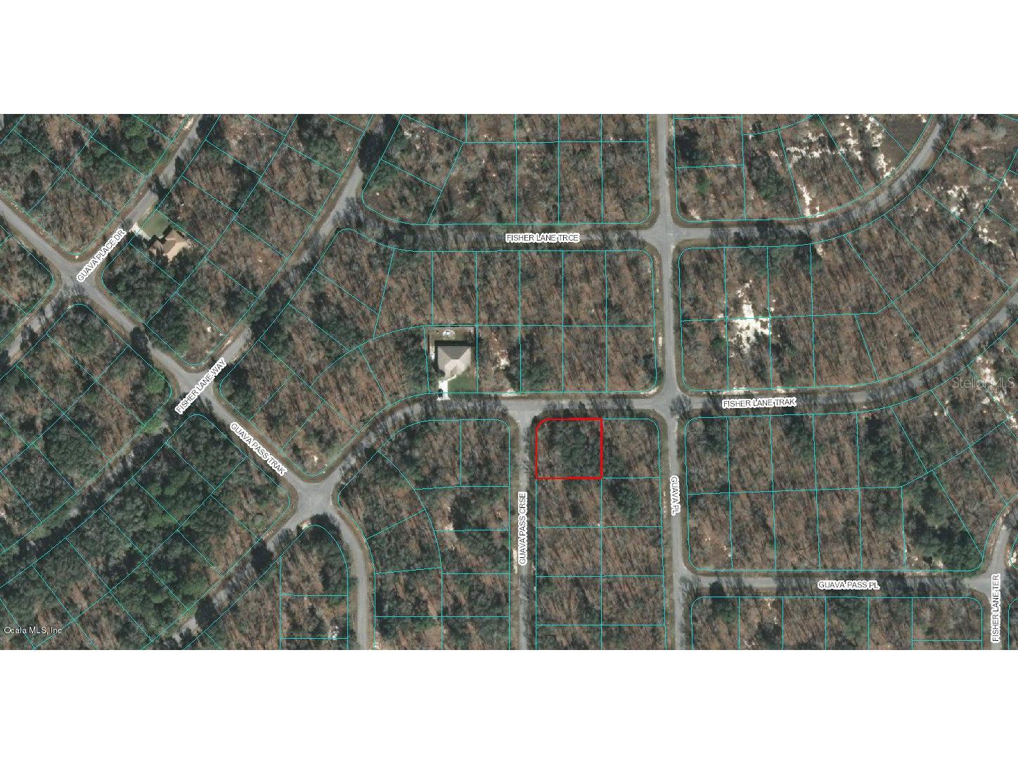 00 Guava Pass Course Ocklawaha FL 32179 OM523096 image1