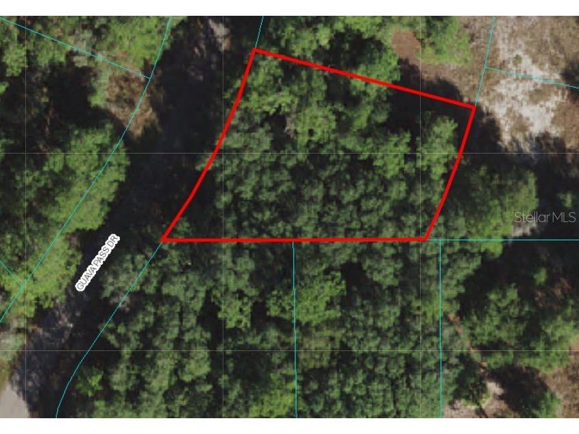 00 Guava Pass Drive Ocklawaha FL 32179 OM640161 image1