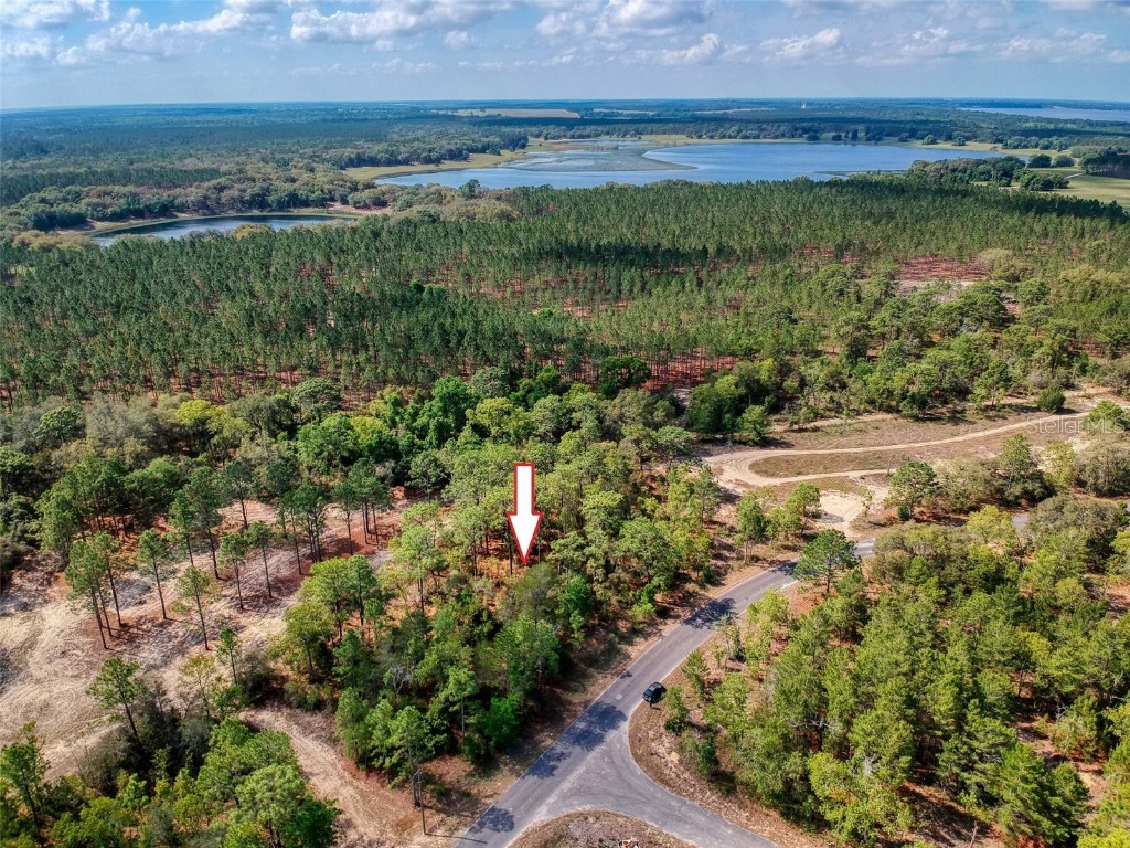 00 Guava Pass Ocklawaha FL 32179 O6102518 image1