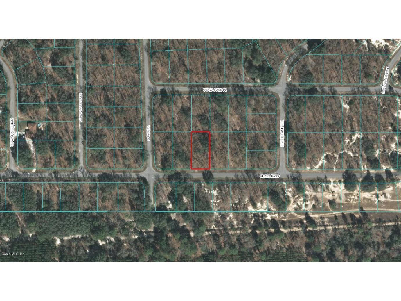 00 Guava Pass Ocklawaha FL 32179 OM523097 image1