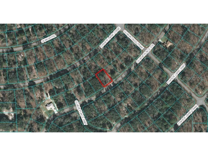 00 Guava Place Drive Ocklawaha FL 32179 OM618727 image1