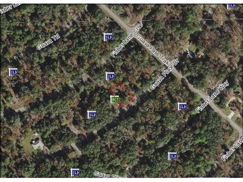 00 Guava Place Drive Ocklawaha FL 32179 OM643975 image1