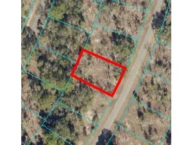 00 Guava Place Drive Ocklawaha FL 32179 OM658699 image1