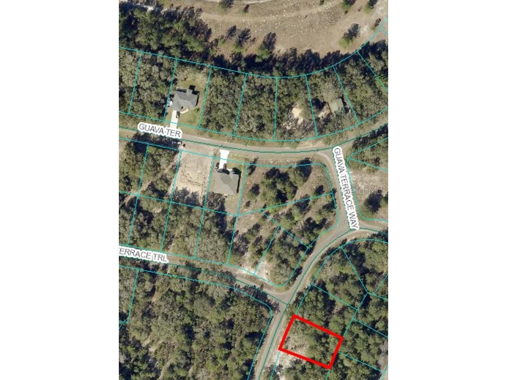 00 Guava Ter Trail Ocklawaha FL 32179 OM690871 image1