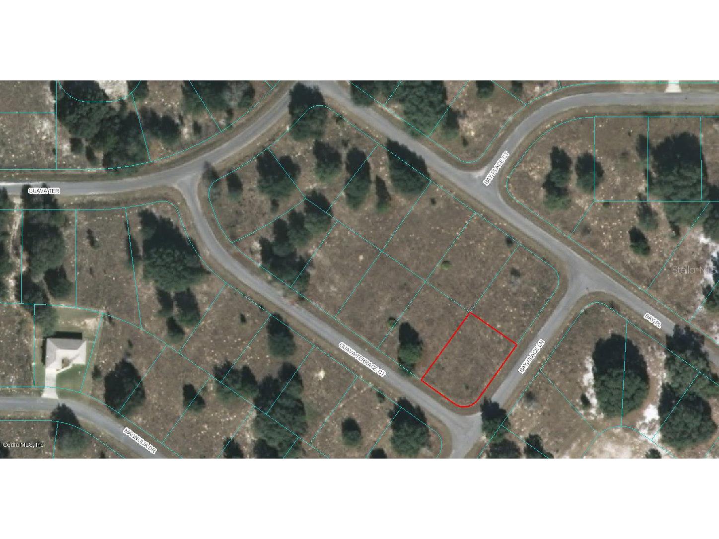 00 Guava Terrace Court Ocklawaha FL 32179 OM523093 image1