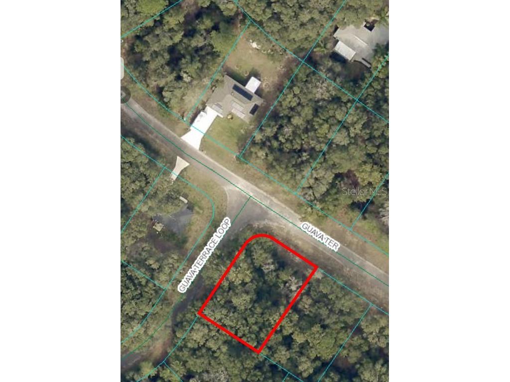 00 Guava Terrace Ocklawaha FL 32179 OM691325 image1