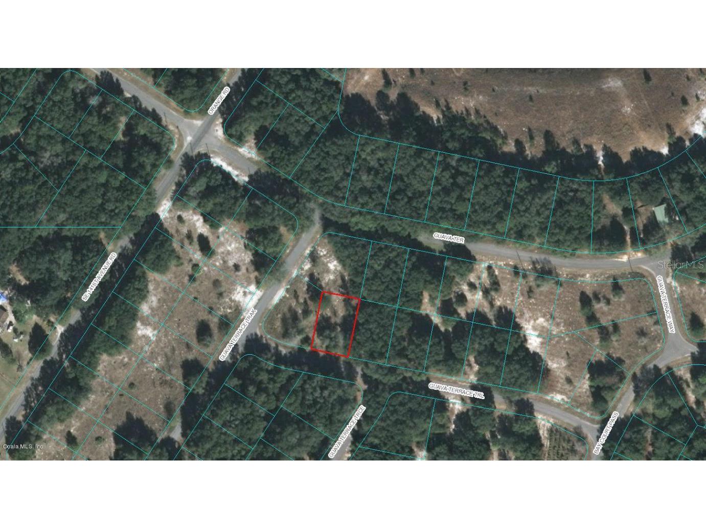 00 Guava Terrace Trail Ocklawaha FL 32179 OM523122 image1