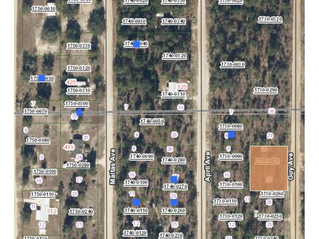 00 Guy Avenue Interlachen FL 32148 OM696858 image1