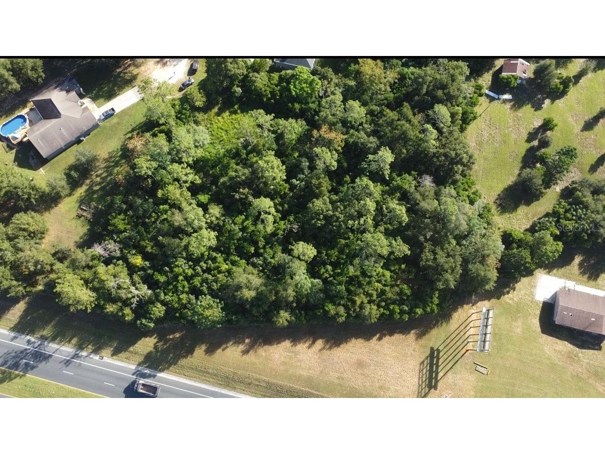 00 Hamrich Drive Dade City FL 33525 A4671477 image3