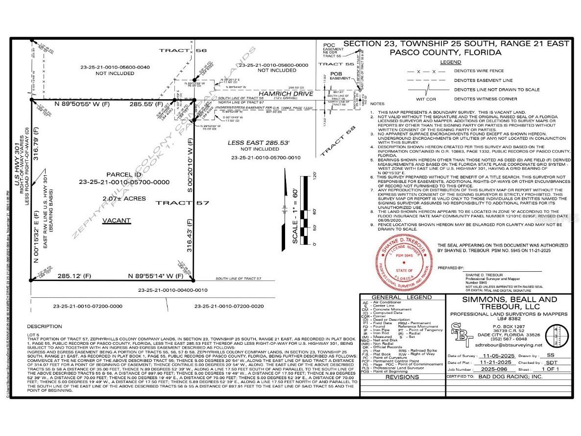 00 Hamrich Drive Dade City FL 33525 A4671477 image9
