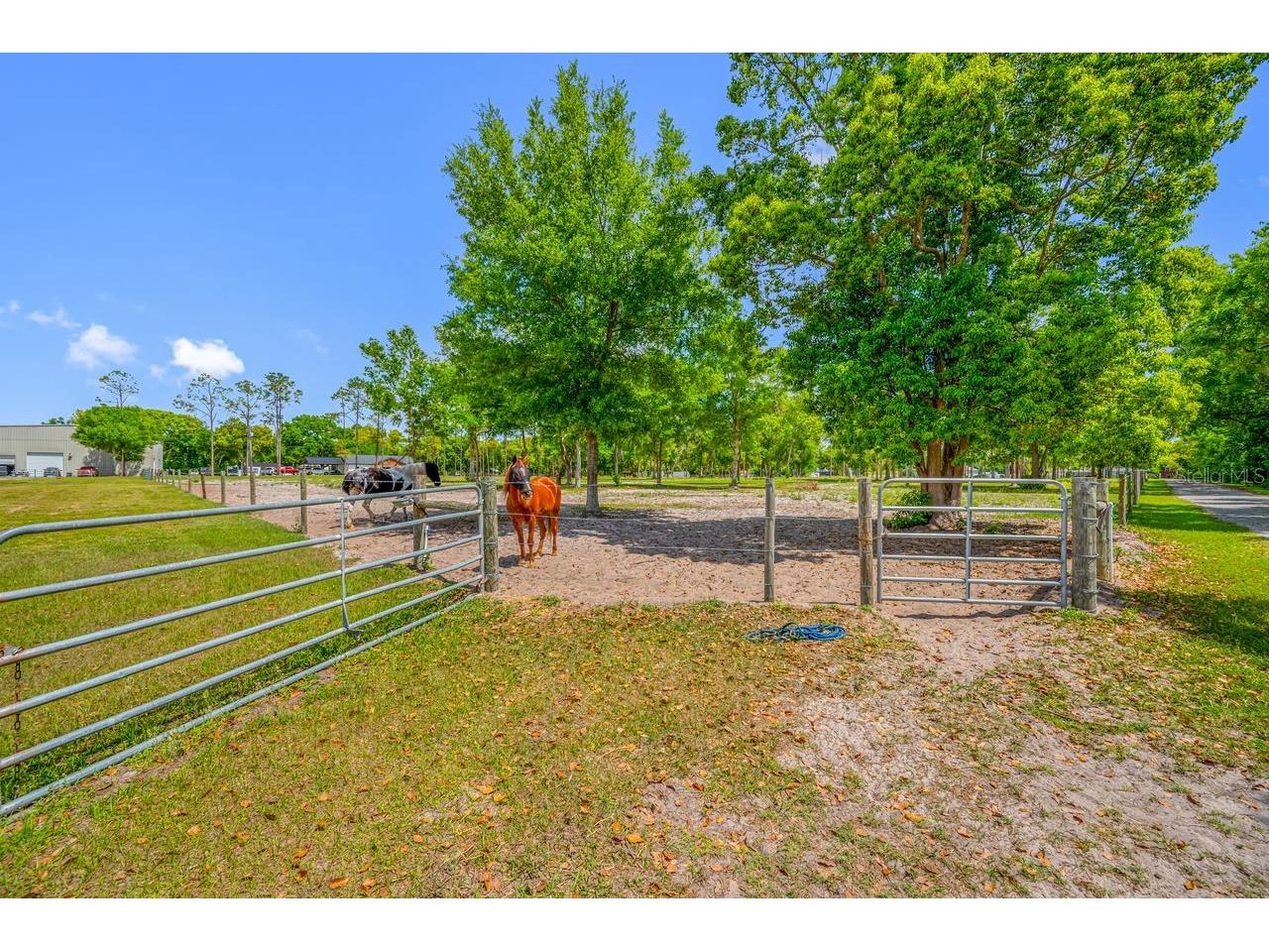 00 Hanna Road Lutz FL 33549 TB8494924 image26