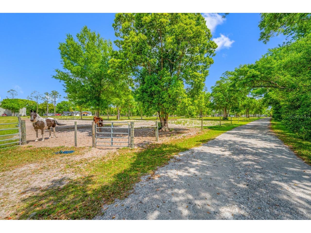 00 Hanna Road Lutz FL 33549 TB8494924 image36