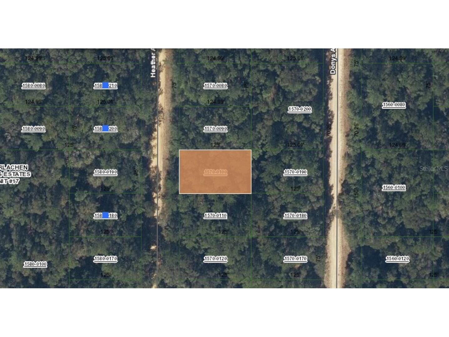 00 Heather Avenue Interlachen FL 32148 OM697612 image1